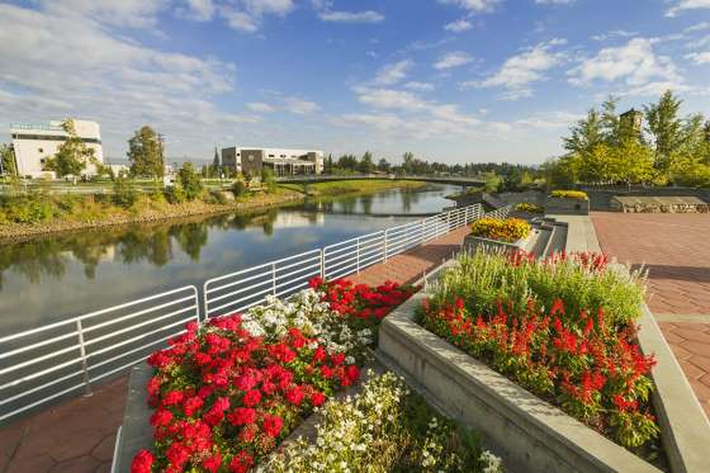 Fairbanks, Alaska: Những bông hoa mùa hè tại Vườn Golden Heart ở trung tâm thành phố Fairbanks trong tiết Hạ chí, khi mặt trời không bao giờ ngủ.