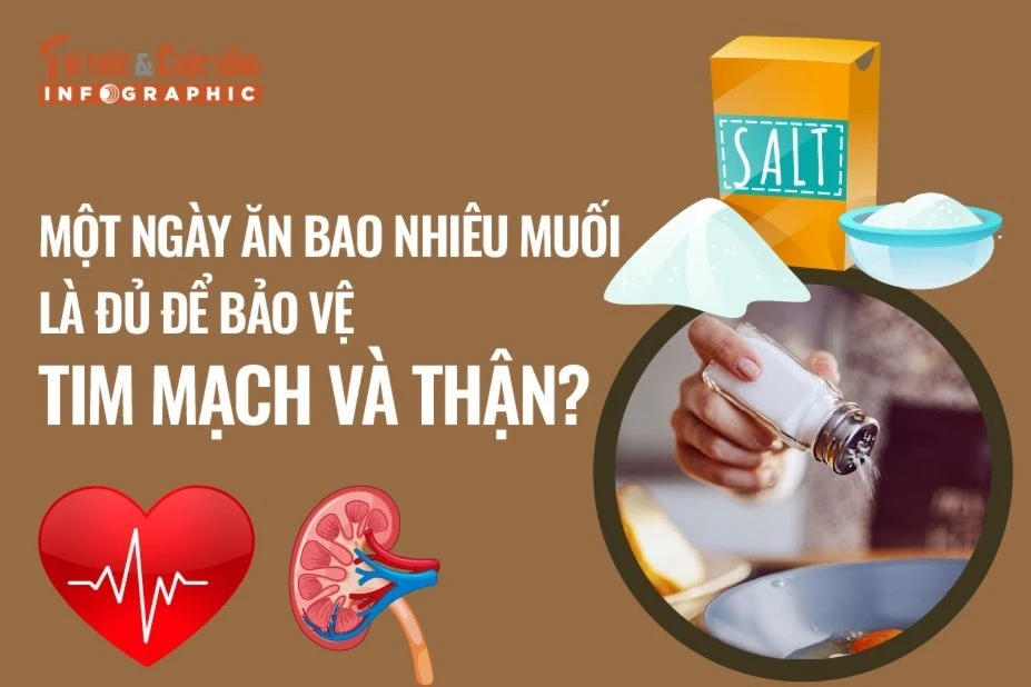[INFOGRAPHIC] Một ngày ăn bao nhiêu muối là đủ để bảo vệ tim mạch, thận?