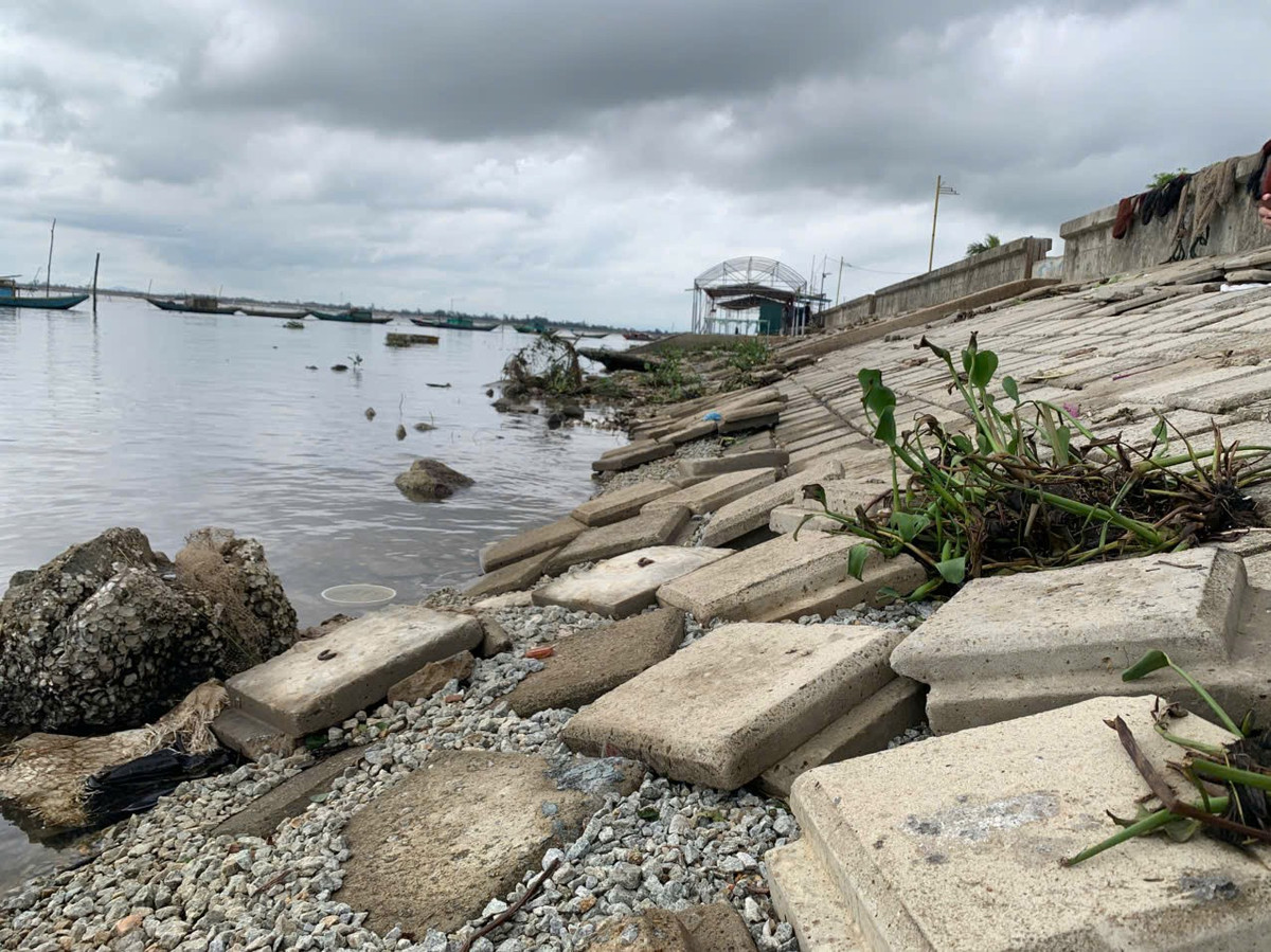Ngoài ra, tuyến kè chắn sóng qua thôn Mai Lâm (xã Mai Phụ) cũng hư hỏng nghiêm trọng sau bão số 5.