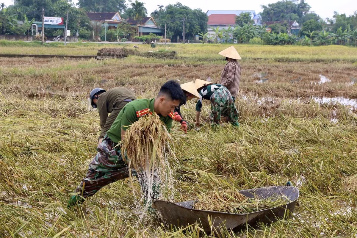 Đại úy Đinh Ngọc Hùng - Trưởng Công an xã Hương Giang (huyện Hương Khê) cho biết: “Đợt mưa lũ vừa qua khiến nhiều diện tích lúa xuân của bà con bị ngập, nảy mầm. Sau khi nước rút, máy gặt không thể xuống vì bùn nhão nên chúng tôi đã hỗ trợ gặt lúa cho bà con. Đây không chỉ là trách nhiệm mà còn mang hy vọng giảm thiệt hại cho người dân sau mưa lũ".