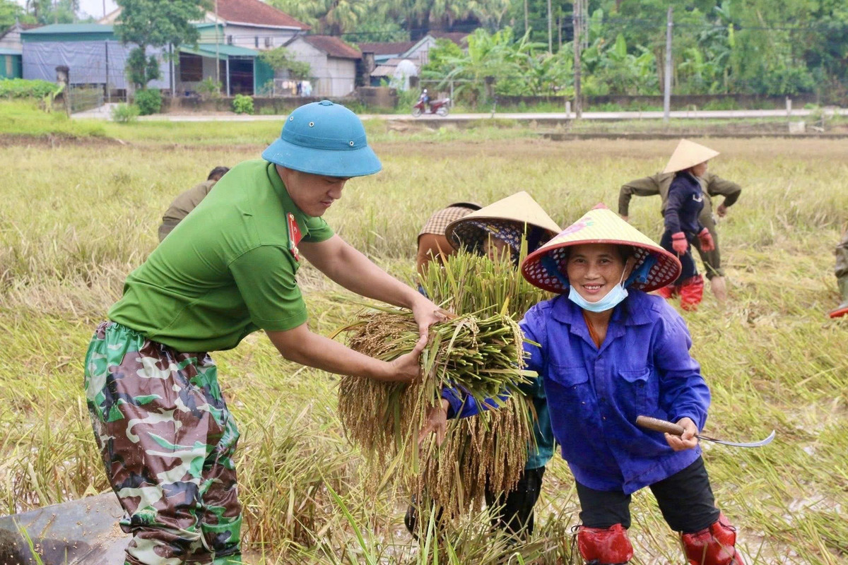 Chị Nguyễn Thị Hoa, người dân xã Thạch Ngọc (Thạch Hà), xúc động chia sẻ: “Lúa chín rộ thì mưa lũ ập đến, ngập hết cả cánh đồng nên gia đình tôi không kịp thu hoạch, tưởng chừng mất trắng. Nhờ các anh công an xã đến giúp, mấy ngày nay mới vớt vát được ít nhiều, bà con chúng tôi biết ơn các anh rất nhiều...”.