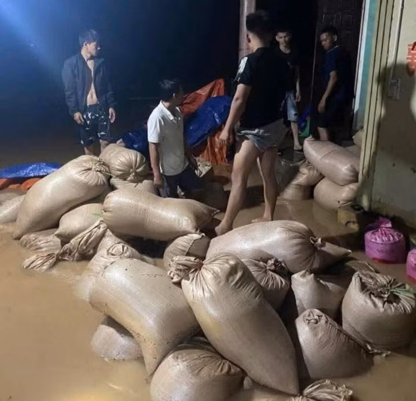 Ngay trong đêm, chính quyền xã Cẩm Duệ đã huy động toàn bộ lực lượng công an, quân đội hỗ trợ người dân kê cao tài sản, sơ tán người già và trẻ nhỏ đến nơi an toàn. Ảnh: Lúa của người dân vừa thu hoạch bị nước lũ nhấn chìm.