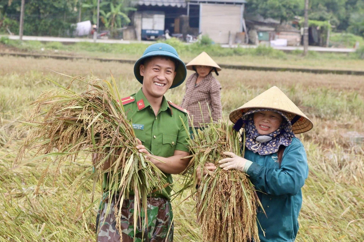 Những nụ cười thắm đậm tình quân dân trên cánh đồng lúa.