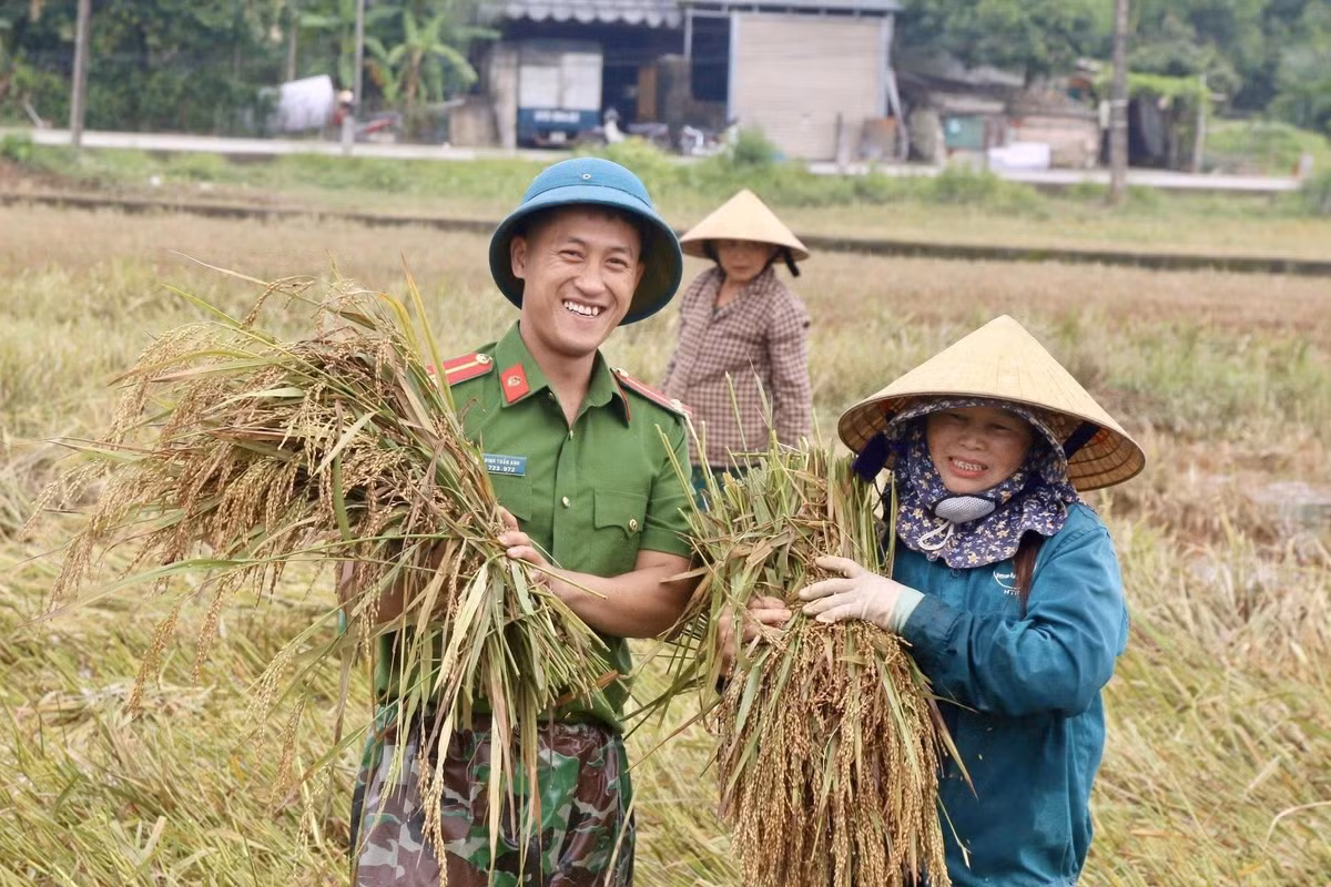 Những nụ cười thắm đậm tình quân dân trên cánh đồng lúa.