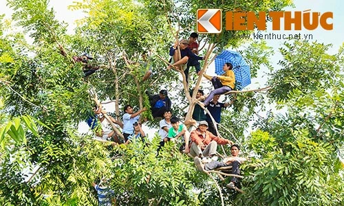 Người dân trèo cây, đội nắng xem xử thảm sát ở Bình Phước