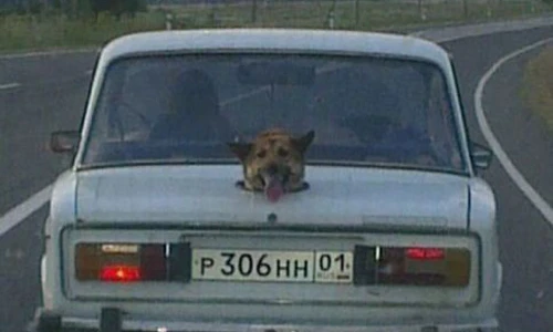 Ảnh độc chỉ có ở Nga (16)