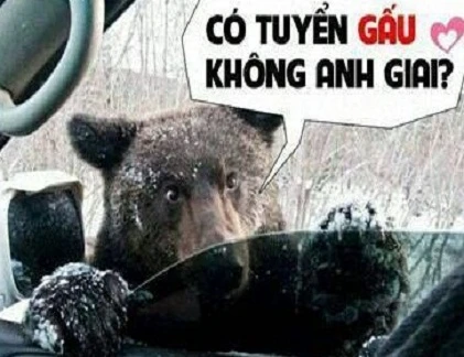 Giây phút “nguy hiểm” của động vật (40)