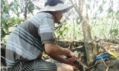 Những lão nông trúng đậm, lên đời nhờ tìm được mỏ vàng