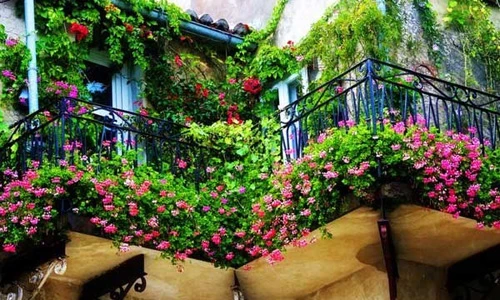 Những ý tưởng thiết kế vườn hoa ban công tuyệt đẹp