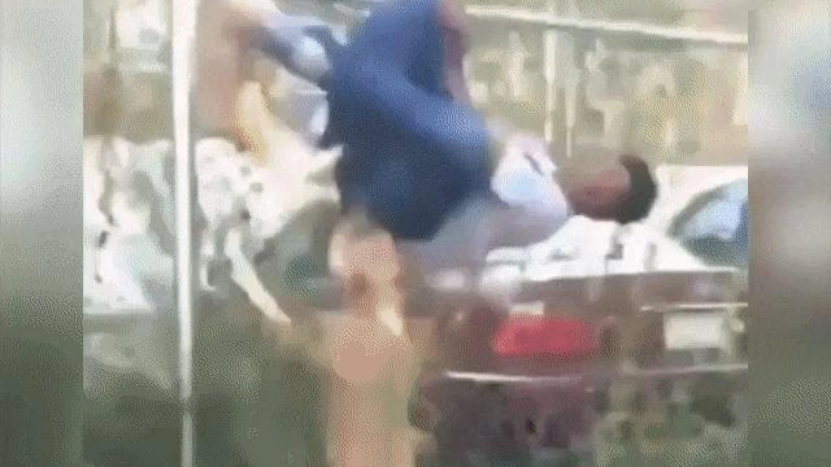 Video: Thanh niên trêu chó nhận cái kết siêu thốn