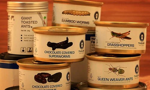 Choáng váng loạt hàng kỳ dị trong siêu thị