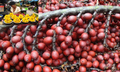 Tò mò loại quả làm đẹp cho chị em “đẻ” ra tiền