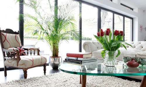 Bật mí những cách đưa cây xanh vào trang trí nhà ở
