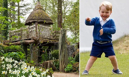 Ngôi nhà cây gần 700 triệu của Hoàng tử nhí nước Anh