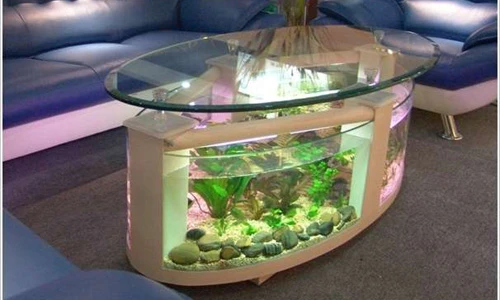 Những thiết kế bể cá trang trí nhà cực độc