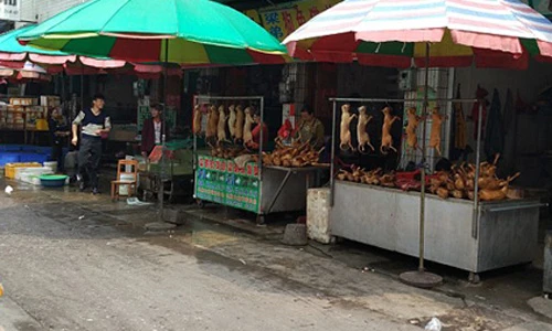 Những hình ảnh rợn người ở chợ thịt 300 con chó/ngày