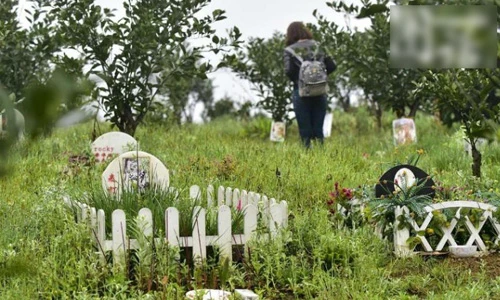Nhà giàu Trung Quốc bỏ hàng nghìn USD mua đất chôn cất thú cưng
