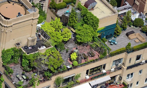 Ngắm những mái nhà xanh mát ở New York