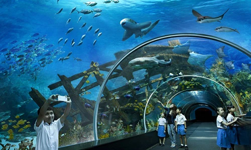 Khám phá thủy cung nhân tạo lớn nhất thế giới ở Singapore