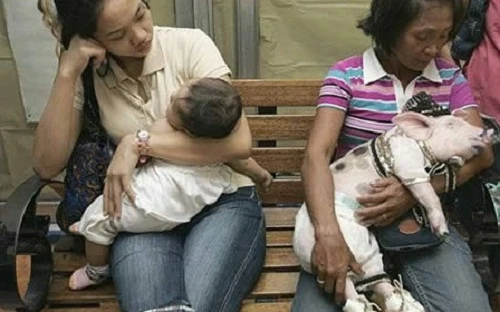 Ảnh độc chỉ có ở châu Á (8)