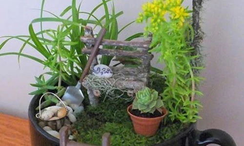 Ý tưởng làm vườn hoa mini trang trí nhà đẹp