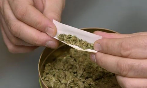 Vì sao 10 loại ma túy này bị xem là nguy hiểm nhất?