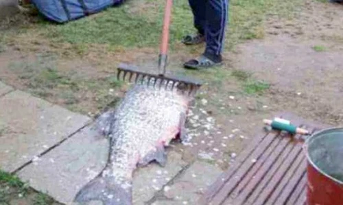 Ảnh độc chỉ có ở Nga (45)