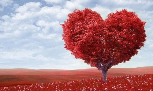 Uống loại nước này hàng ngày nhận lợi ích thần kỳ cho sức khỏe