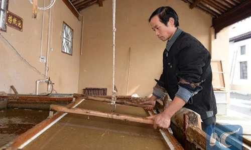 Cận cảnh quy trình làm giấy viết từ phân gấu trúc