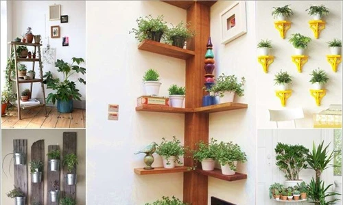 Những cách trang trí nhà tuyệt đẹp với cây xanh