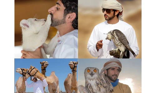 Thú nuôi quái thú độc, dị của Thái tử Dubai điển trai