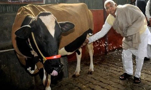 Tiết lộ những bí mật giật mình về Ấn Độ