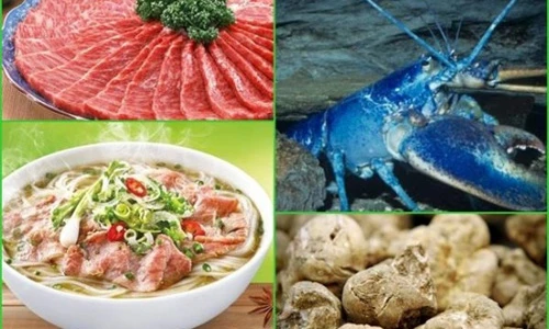 Bát phở giá 100 triệu gây sốc có gì độc?