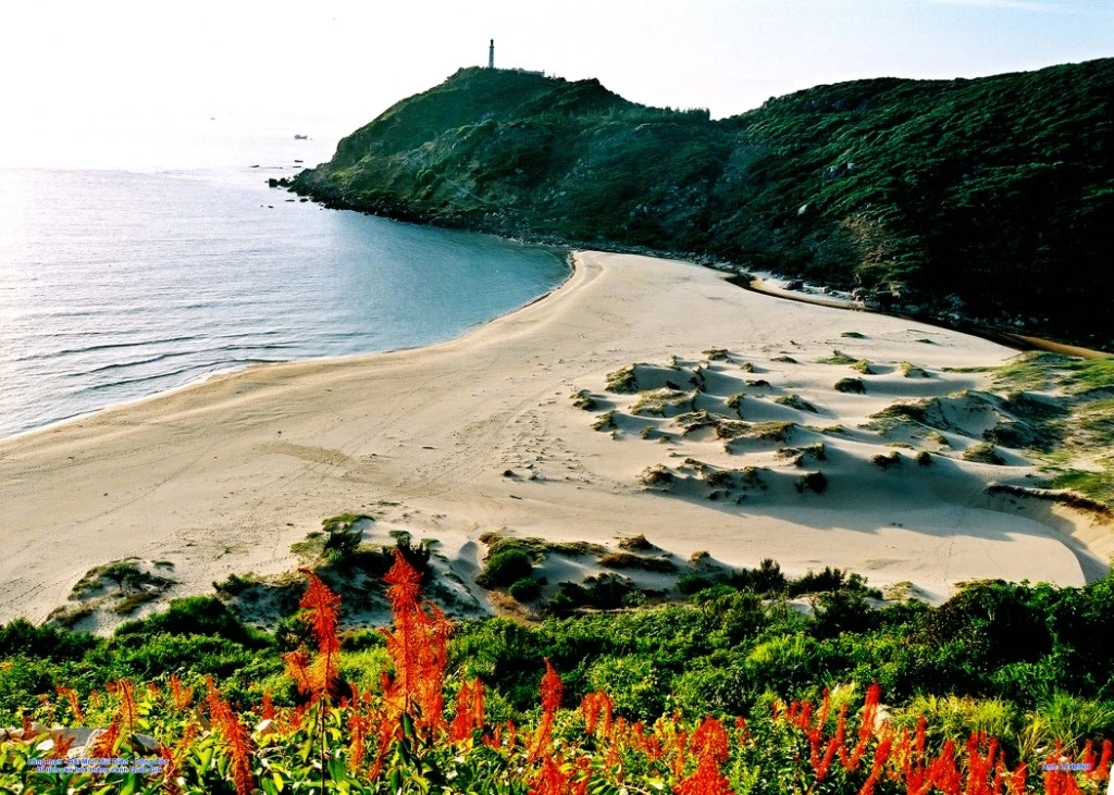 Điểm đến tuyệt đẹp của xứ sở "hoa vàng trên cỏ xanh"