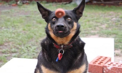 Trước khi "mọi thứ còn nguyên vẹn" (24)