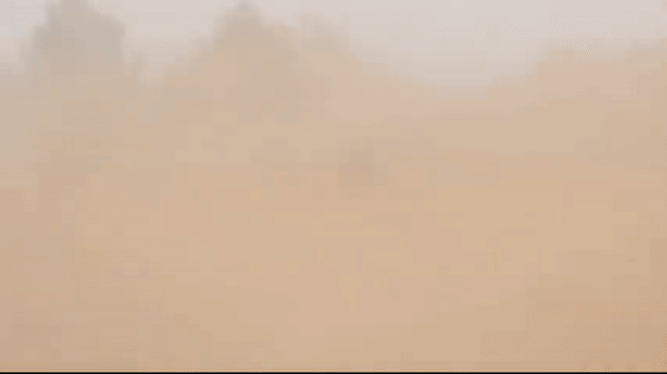 Trên thân pháo chính có gắn thiết bị cảm biến để truyền thông tin sơ tốc đầu nòng đến máy tính. K-9 có cơ số đạn chiến đấu 48 viên, đạn được nạp tự động hoặc bằng tay.