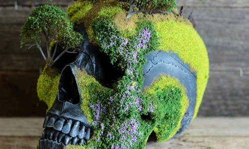 Kinh dị nhìn cây bonsai kỳ quặc hình hộp sọ người