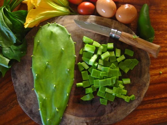 Xương rồng, món đặc sản kỳ lạ ở Quảng Nam