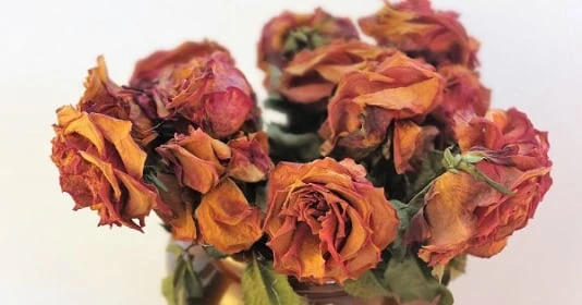 Các cụ dặn: Không giữ 5 món đồ này trong nhà, coi chừng sạt nghiệp