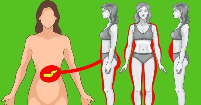 10 mẹo quan trọng kiểm soát insulin để giảm cân, giữ dáng đẹp