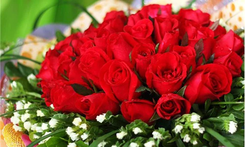 Những món quà 20/11 giá mềm vẫn đầy ý nghĩa