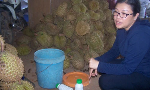 Kinh hãi cảnh dùng hóa chất 'tắm' cho hơn 2 tấn sầu riêng ở Kon Tum