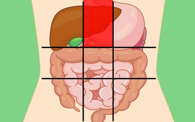 Vị trí đau bụng tiết lộ gì về sức khỏe của bạn?
