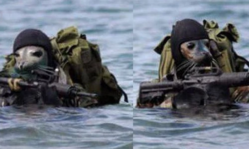 Không thể nhịn cười với những con vật này (2)