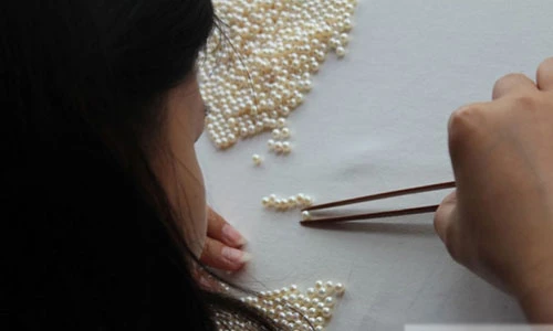 Xem “từ A đến Z” công đoạn sản xuất ngọc trai