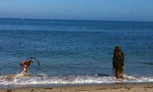 Loạt cảnh tượng hài “khó đỡ” trên bãi biển