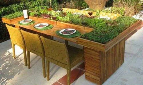 Ý tưởng trang trí bàn tiệc cực độc với rau cỏ