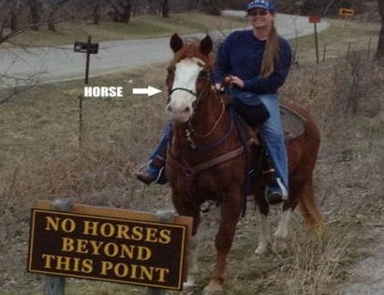 Cấm gì làm nấy!