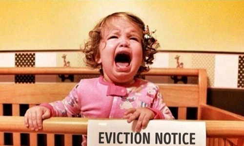 Phản ứng hài hước của các bé khi mẹ có thêm em 