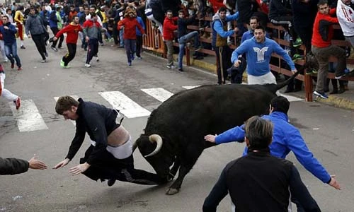 Kinh hãi cảnh bò tót húc người, hất tung lên cao